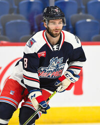 Alex Whelan Hartford Wolf Pack